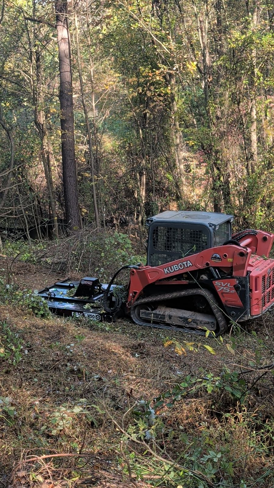 Brush mulcher clearing woods