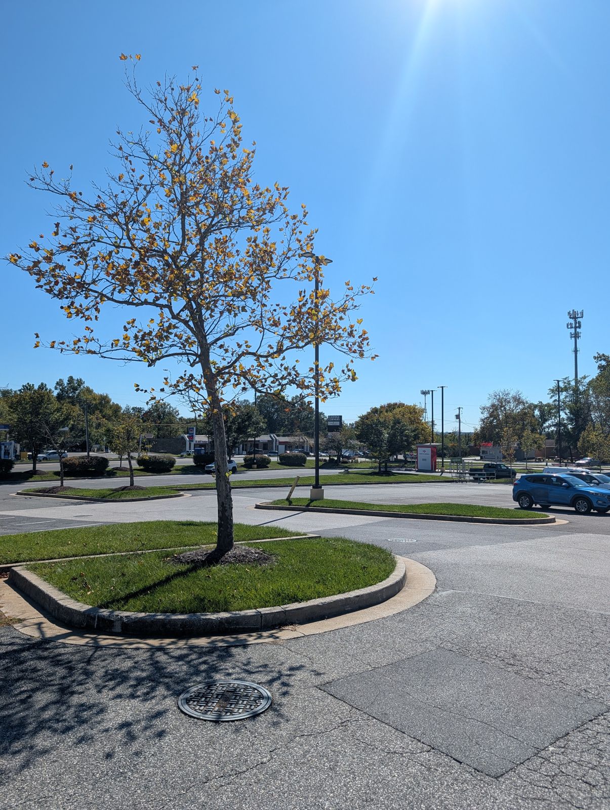 Clean landscape island after leaf cleanup