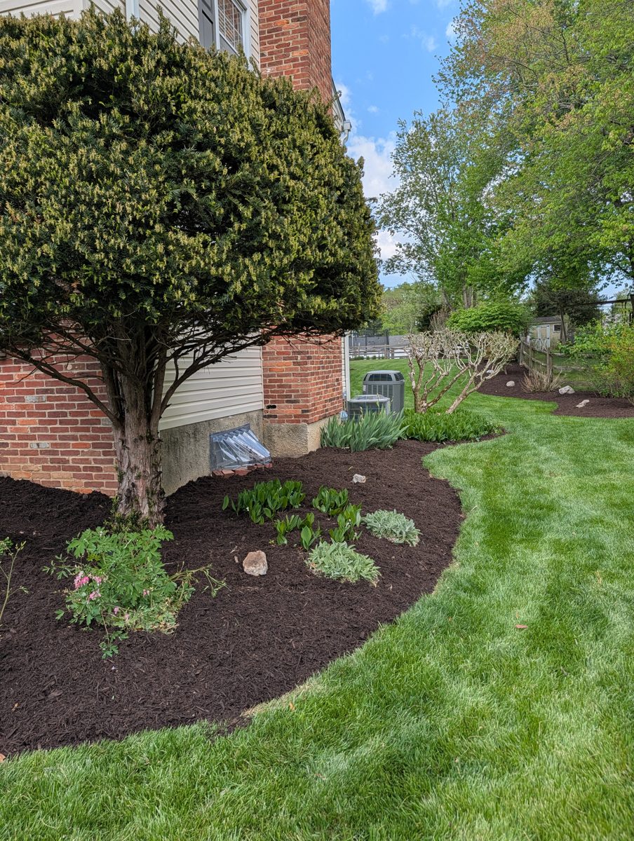 Curved mulch bed with a crisp edge along a brick house